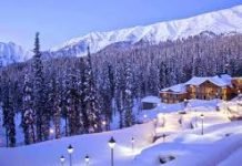 Shimla Calling Tour : Shimla – Kufri – Chail – Delhi