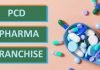 How PCD Pharma Companies help in Growth of Pharmaceutical Sector?