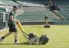 Maintain the Soul of the Game Through Regular Court Maintenance