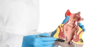Circumstances That Need to Get Treatment from a Piles Doctor