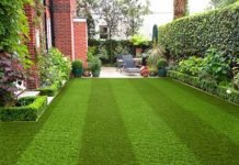 Is Artificial Grass The Right Choice For Your Lawn?